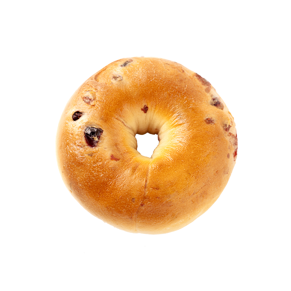 Sanus et humilis adipem quadrupedibus Bagel Sanus et humilis adipem quadrupedibus Bagel